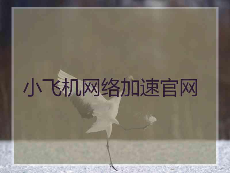 小飞机网络加速官网