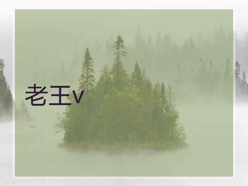 老王v