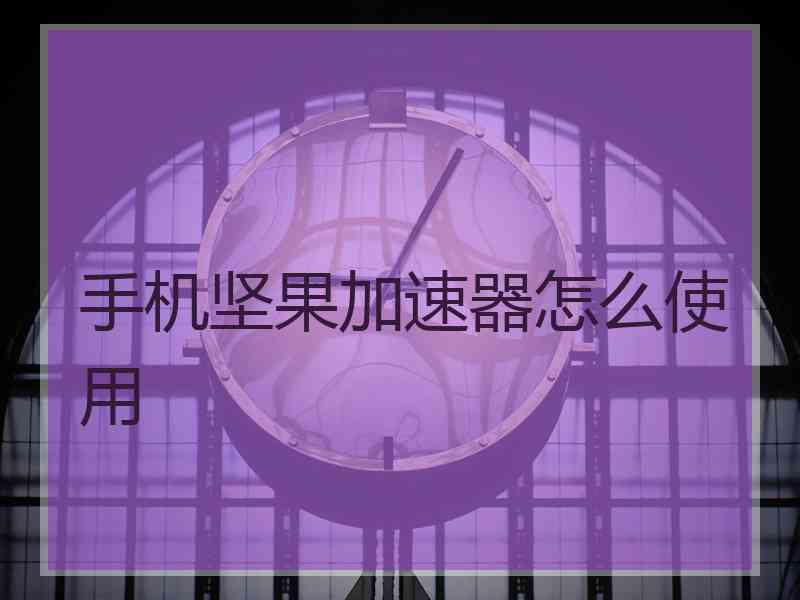 手机坚果加速器怎么使用