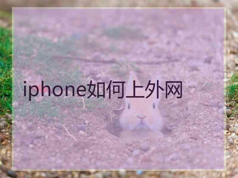 iphone如何上外网